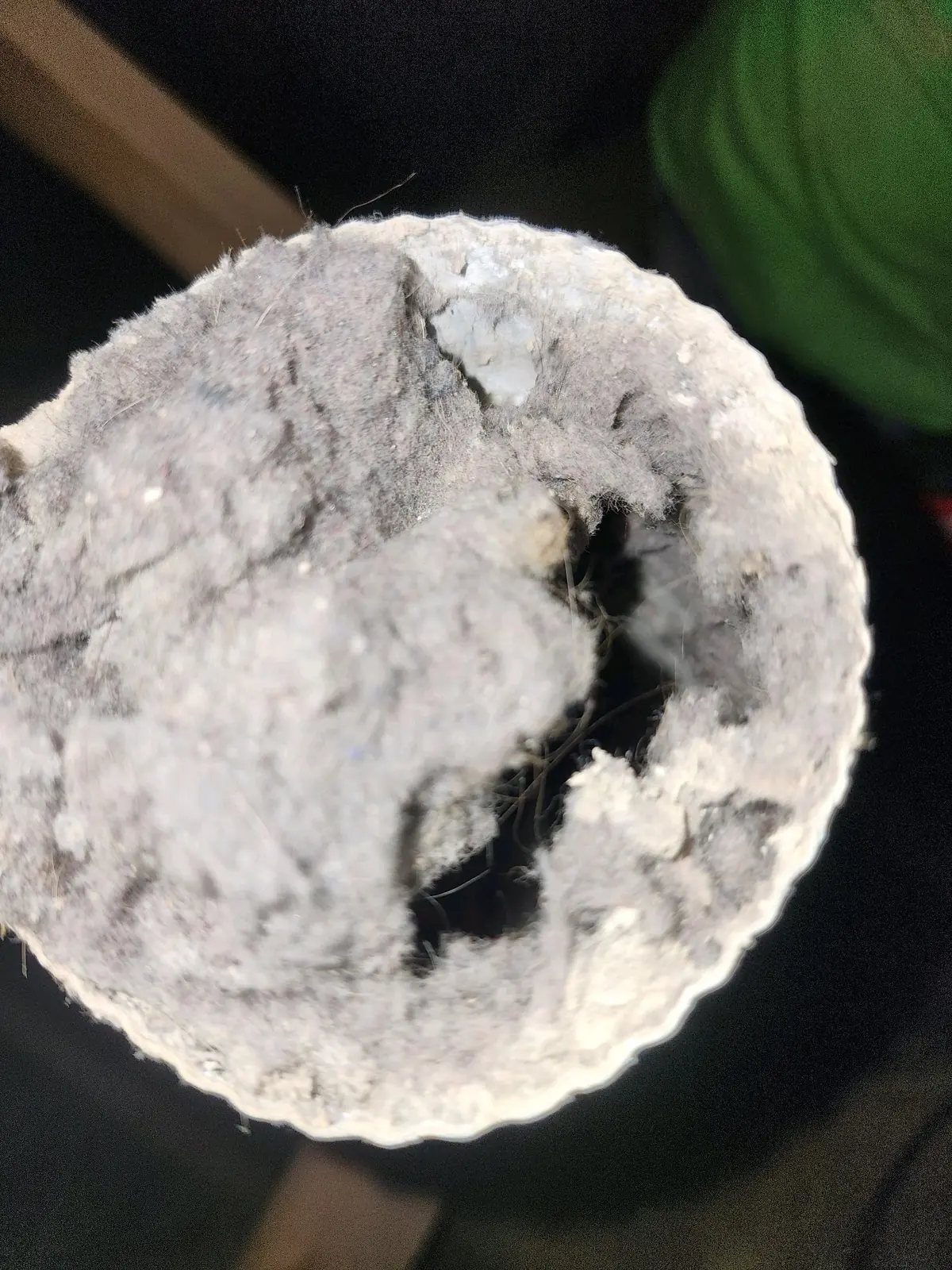 Lint buildup from a residential dryer
