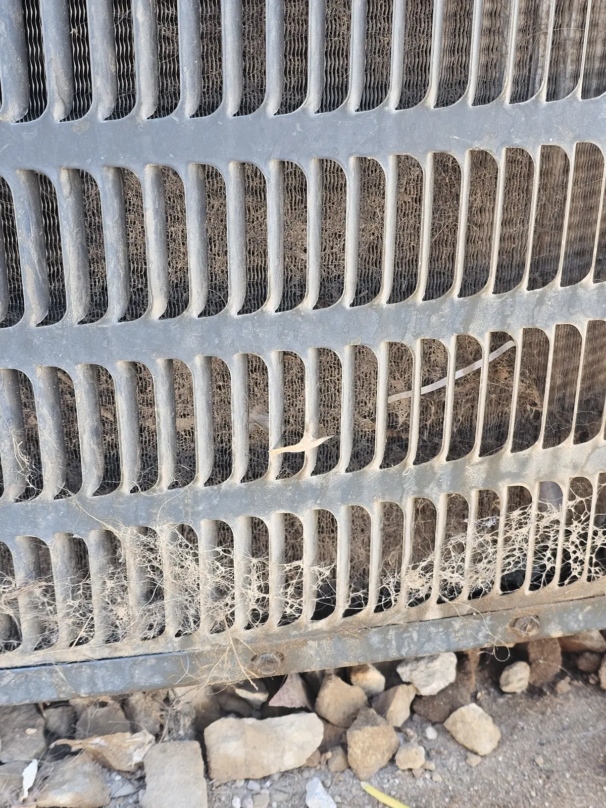 Debris caught on the coil of an outdoor unit